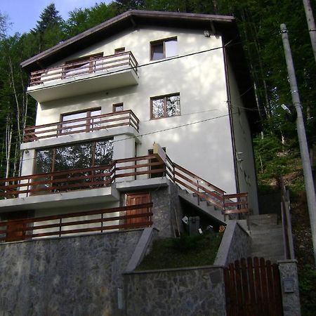 Casa Anotimpuri Ξενοδοχείο Σινάια Εξωτερικό φωτογραφία