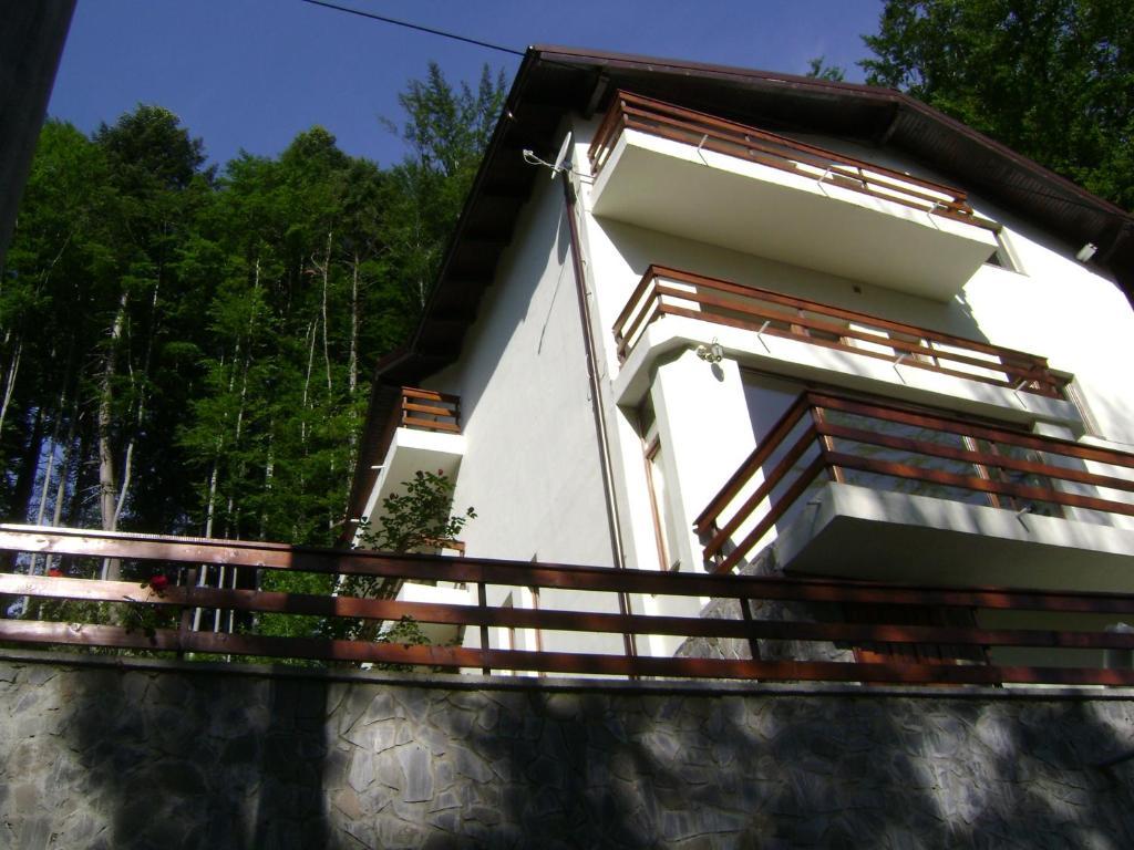 Casa Anotimpuri Ξενοδοχείο Σινάια Εξωτερικό φωτογραφία